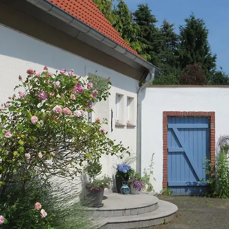 Marigold Neumünster