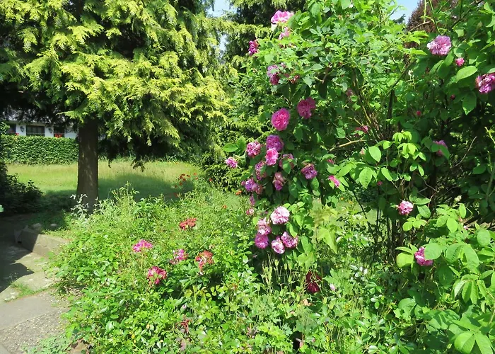 Дом отдыха Marigold *